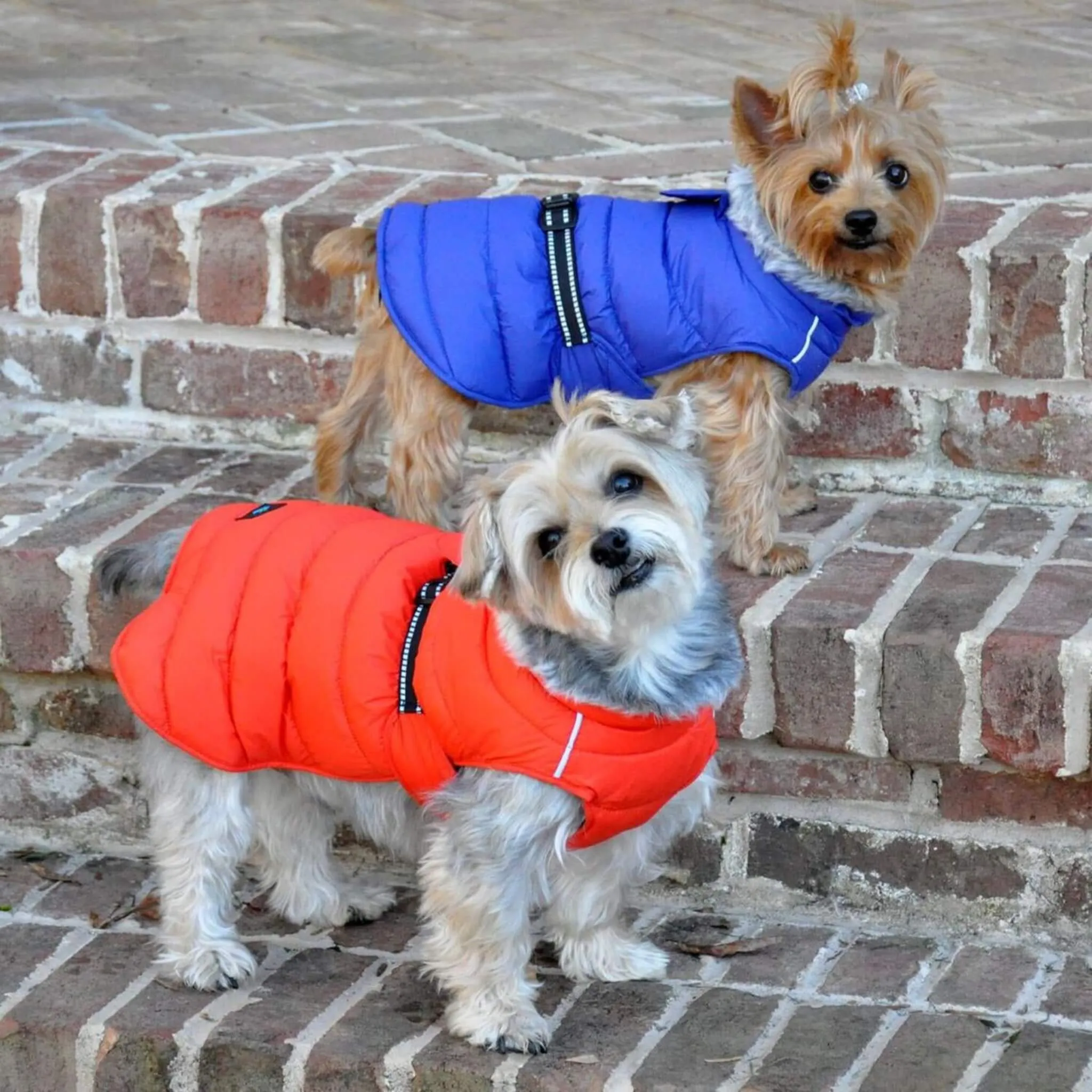 Alpine Extreme Weather Puffer Dog Coat - Blue