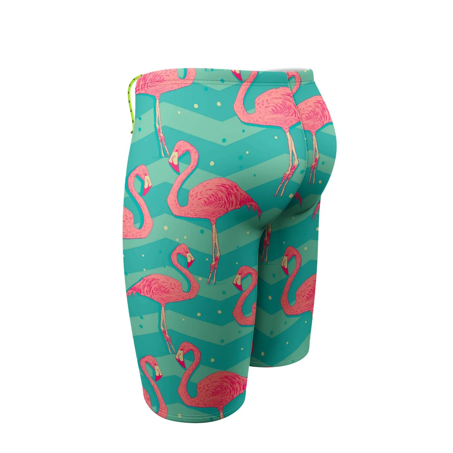 Flock of Flamingos Jammer Swimsuit