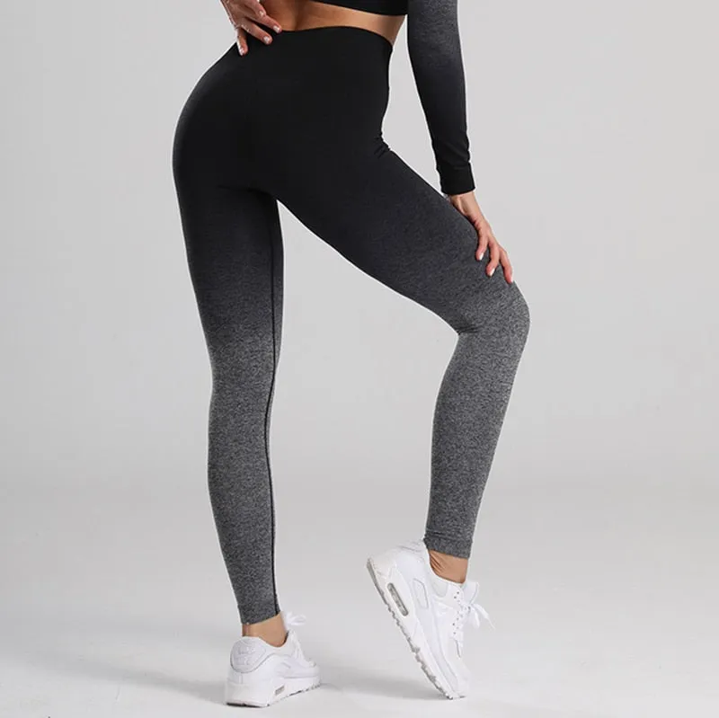 Ombre Seamless High Waisted Women's Leggings