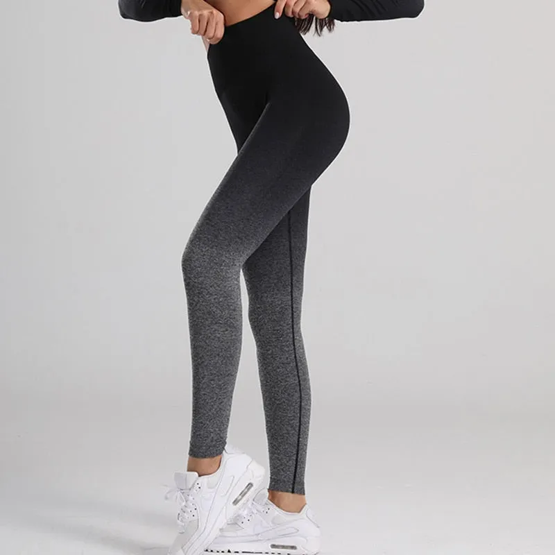 Ombre Seamless High Waisted Women's Leggings